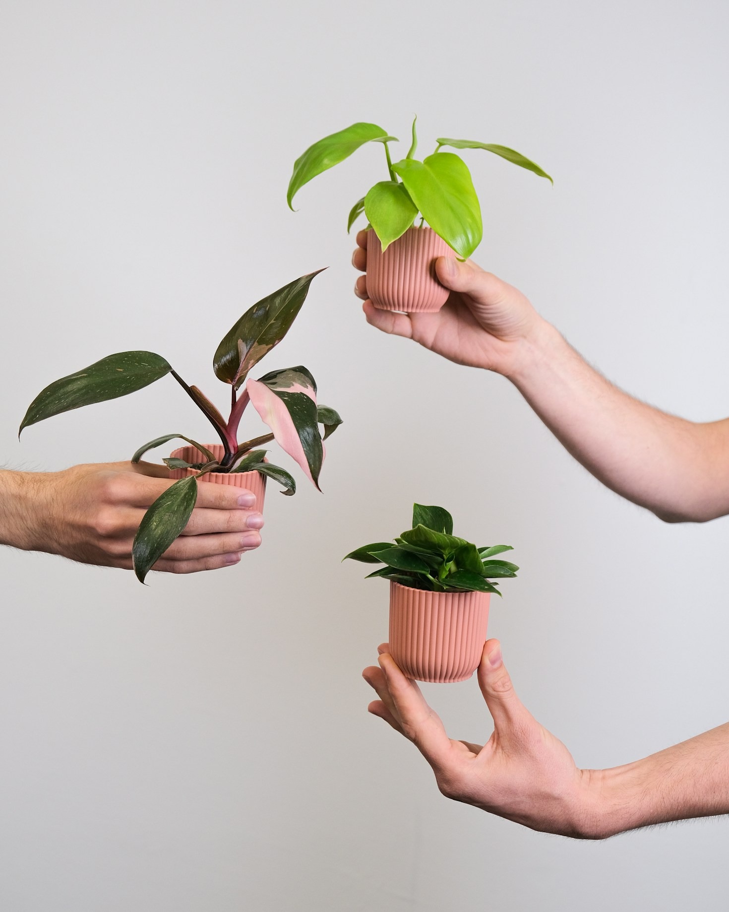 The Benefits of Biodegradable Burial Products