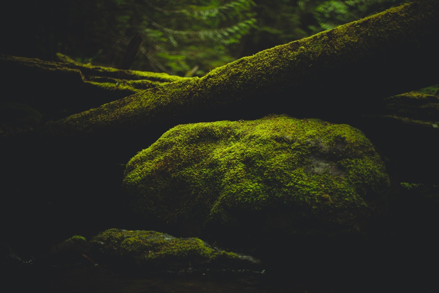 A Beginner’s Guide to Sustainable End-of-Life Planning