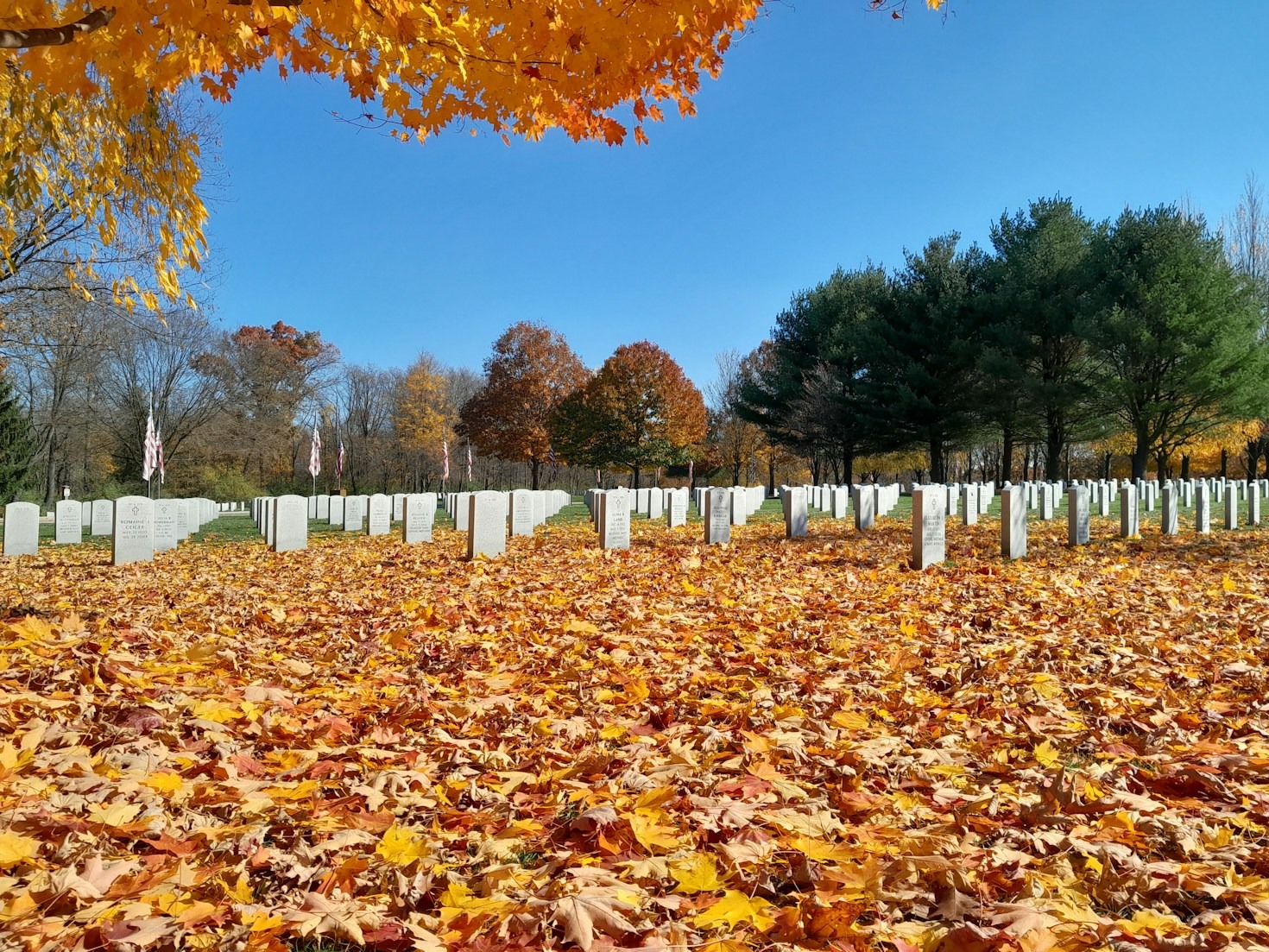 How Natural Funerals Promote Environmental Harmony