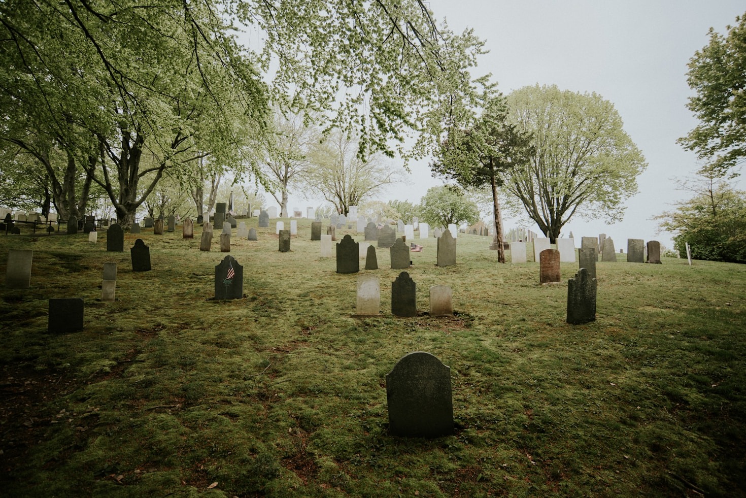 Top Resources for Green Burial Practices