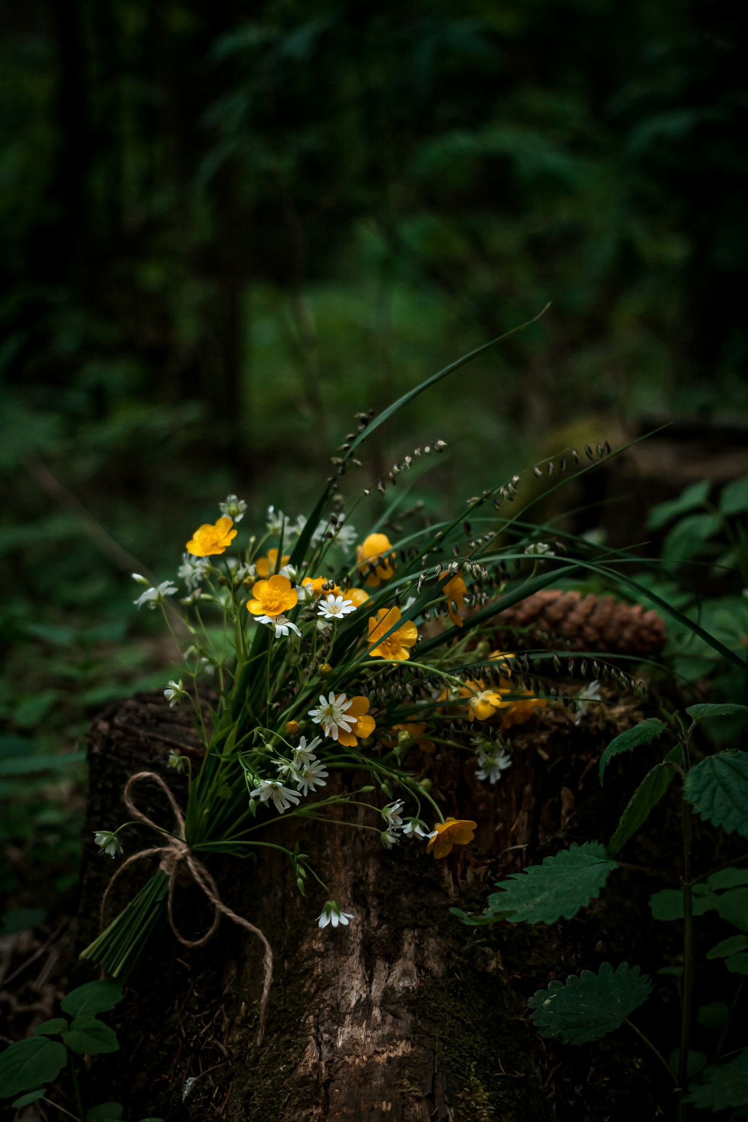 Making Your Farewell a Gift to the Planet